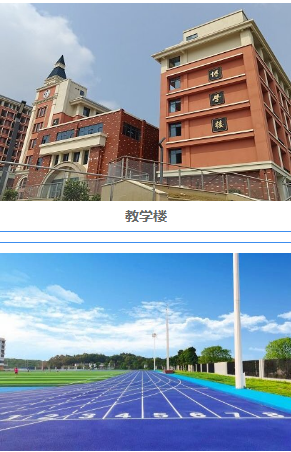 中文天堂最新版在线中文天堂最新版在线，探索无限可能-第3张图片