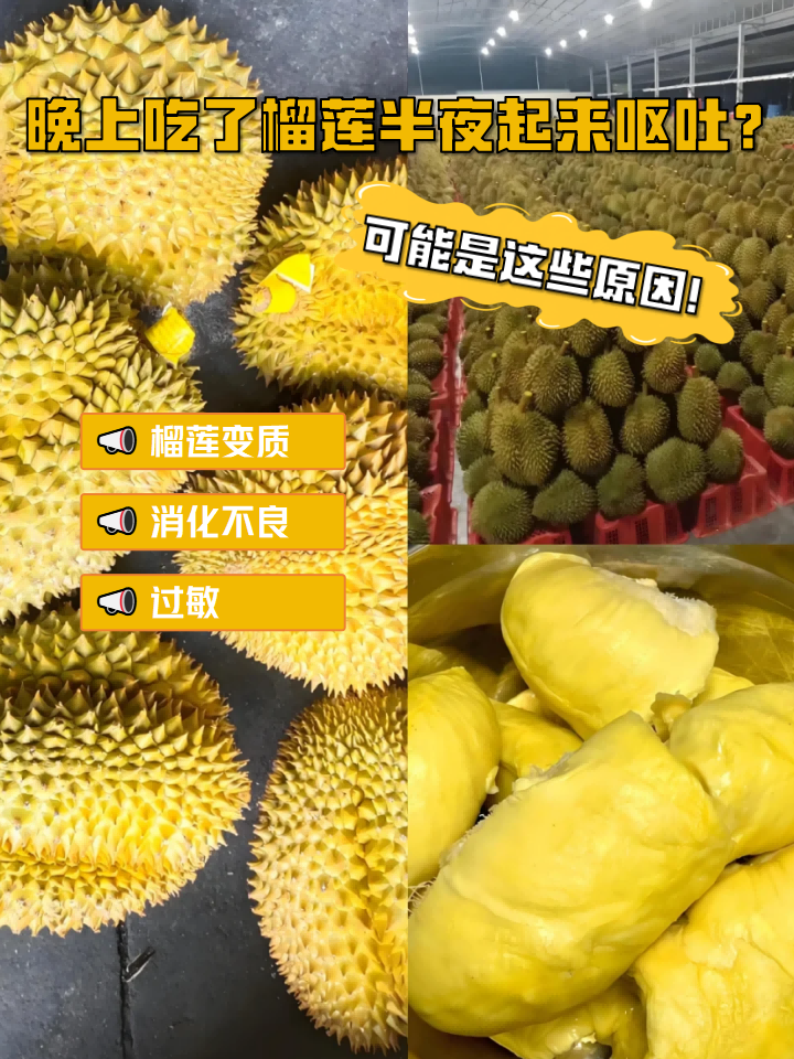 榴莲视频下载免费播放器榴莲视频免费观看与下载指南-第2张图片
