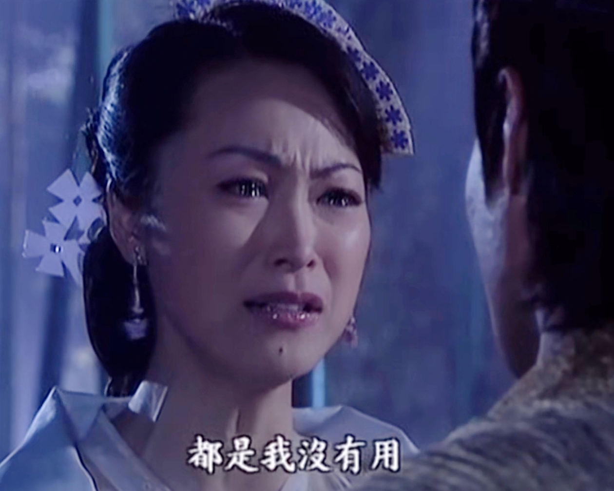 杨门女将外传