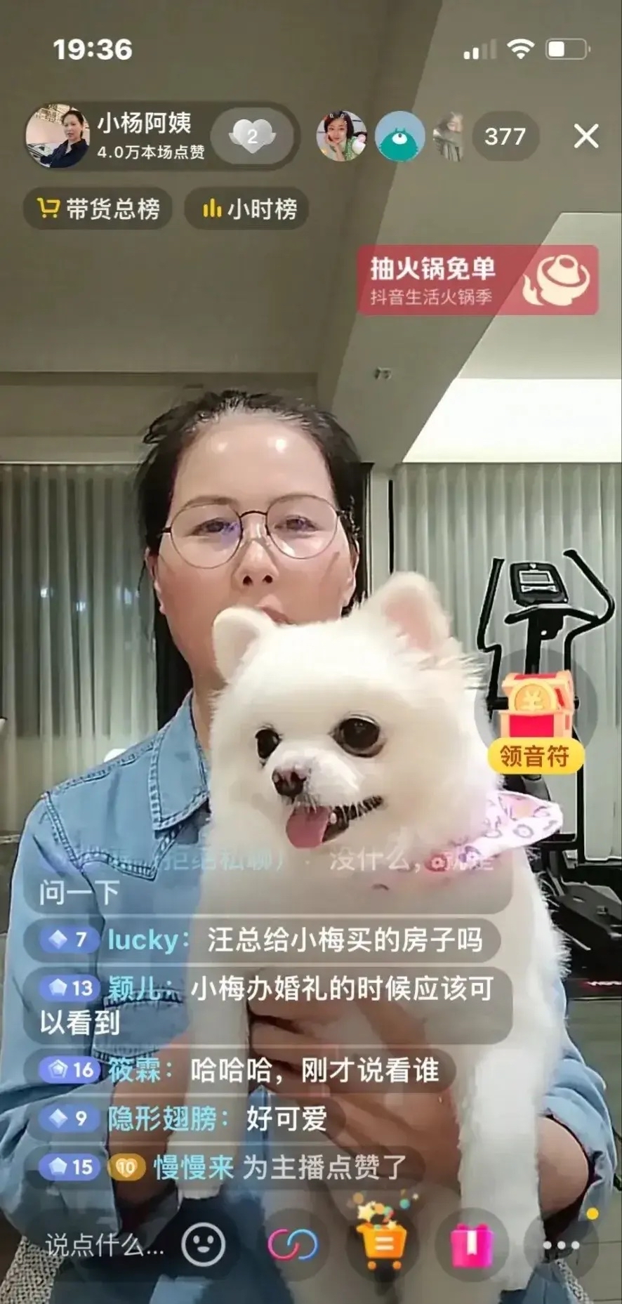 老阿姨是哪个主播老阿姨才是最有V味的直播时代新宠-第1张图片