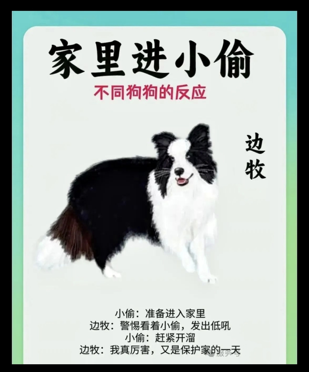 废弃厂狗狗上小说废弃厂中的狗狗轮着上-第2张图片