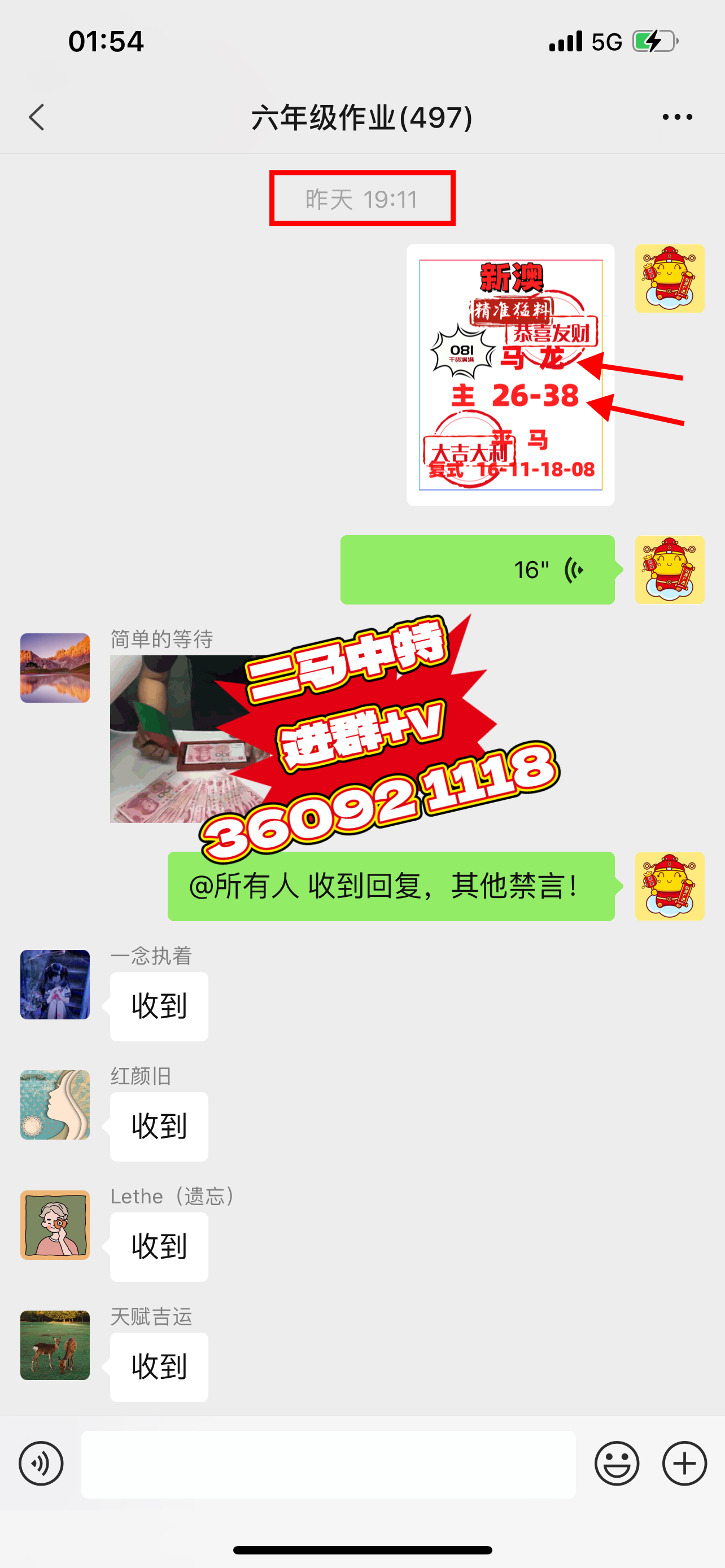 新澳门精准资料期期精准，透视澳门未来的发展-第2张图片