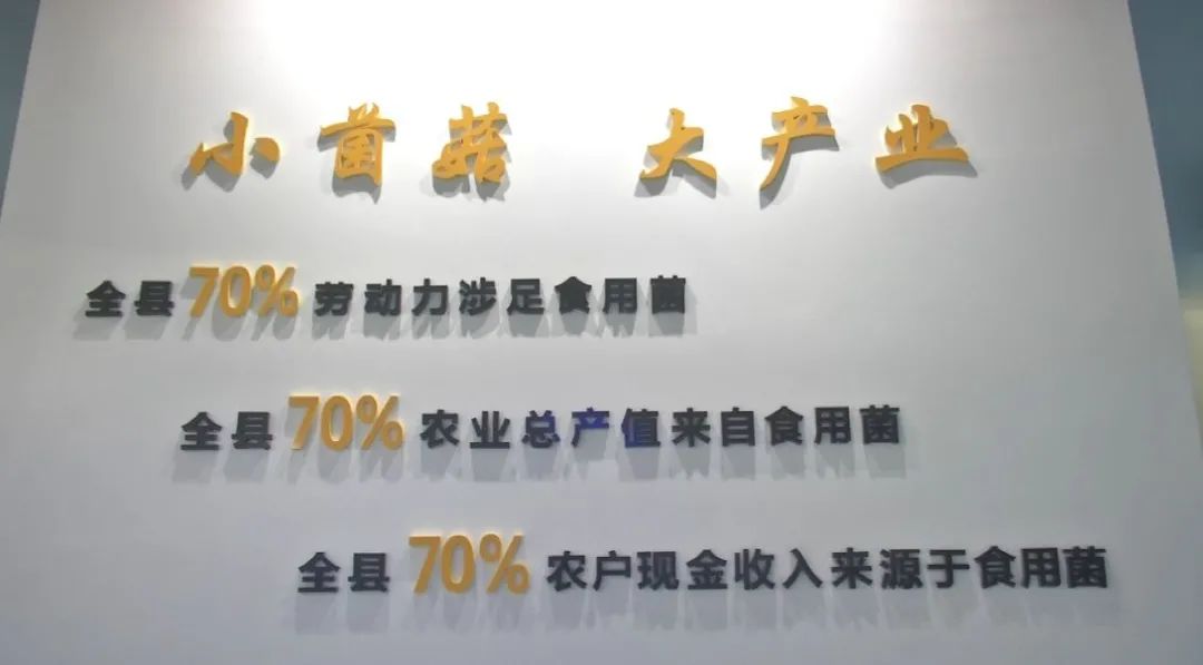 澳门人才网澳门人才网，汇聚人才，助力发展