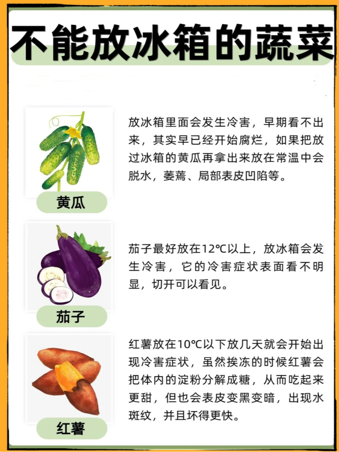 丝瓜黄瓜草莓向日葵秋葵榴莲污日葵秋葵榴莲丝瓜黄瓜草莓向日葵秋葵榴莲，探索美食之旅