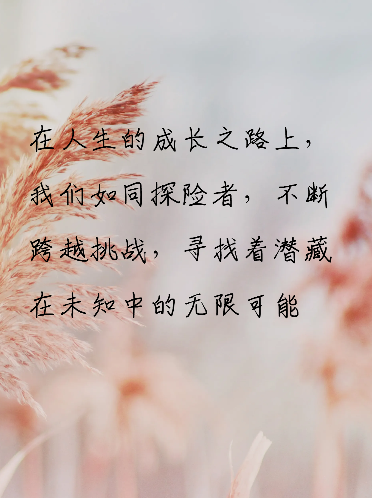 61229.com61229.com，探索数字时代的无限可能