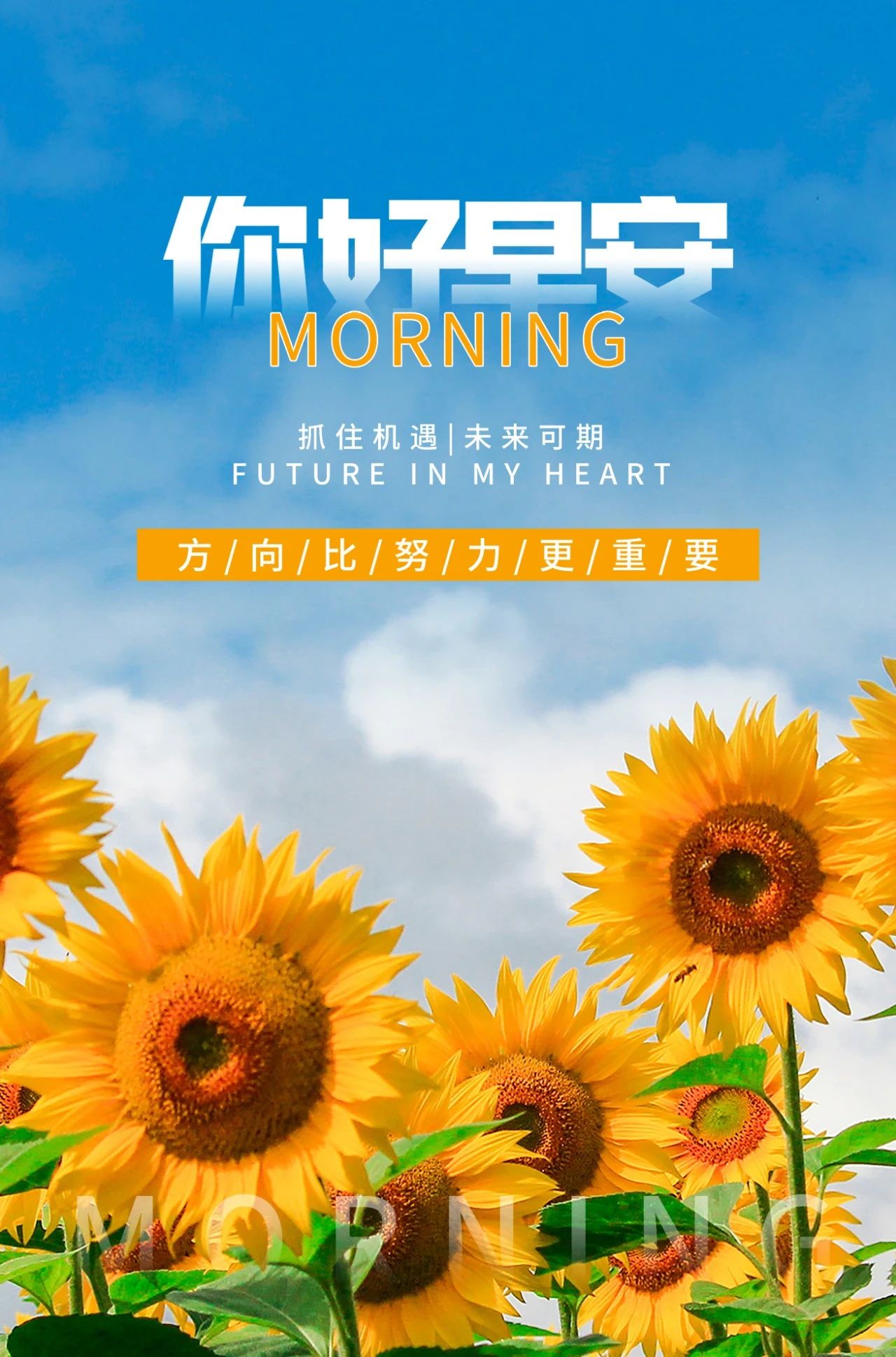 快赢481，把握机遇，赢在未来-第3张图片