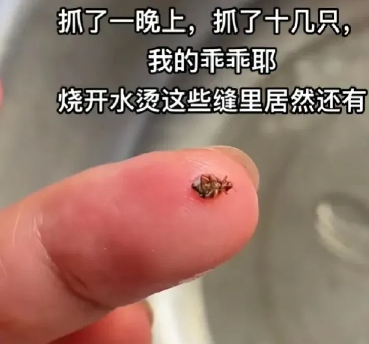 早上醒来他的东西还在里面早上醒来，他的东西还在里面