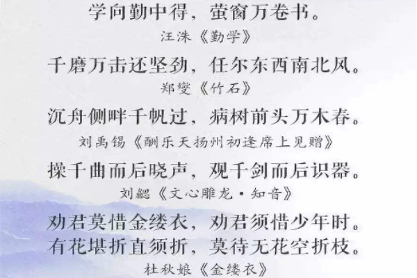 金缕衣简谱金缕衣简谱-第2张图片