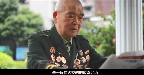 神鹰权威心水论坛，探寻权威与心水的交汇之地