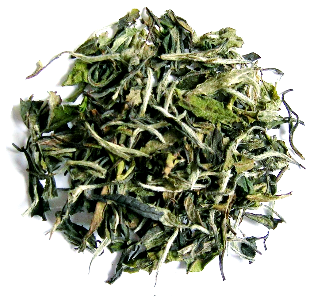 白茶最出名的几种-第3张图片