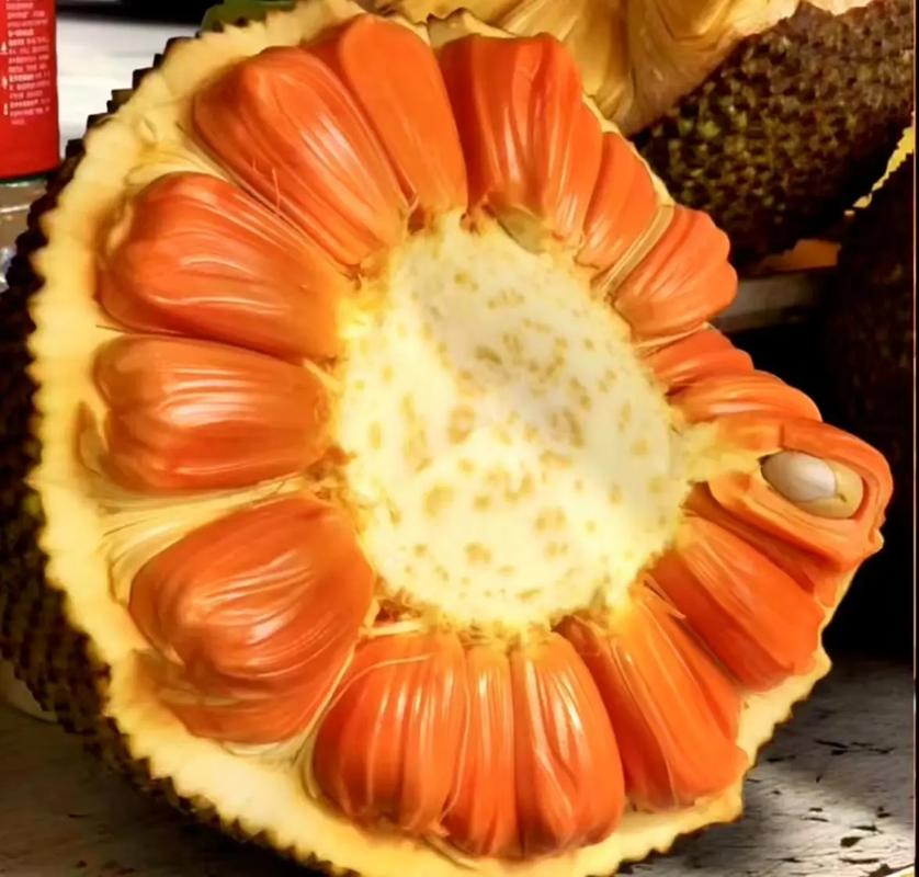 菠萝蜜麻豆一区，美丽与自信的象征