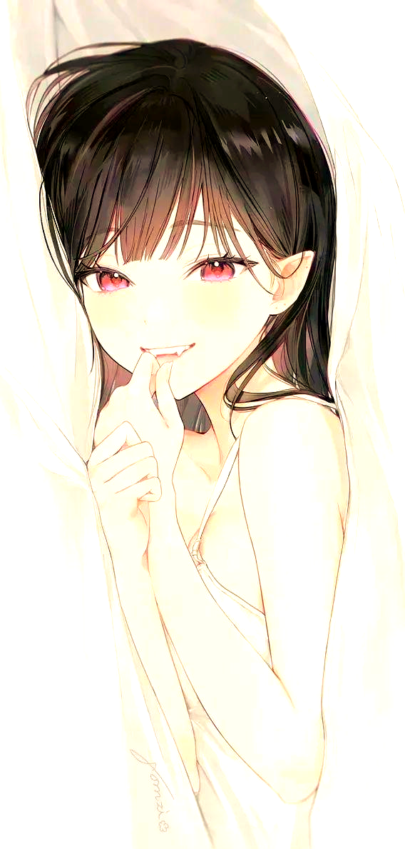 本子库绅士，探索与收藏的智慧