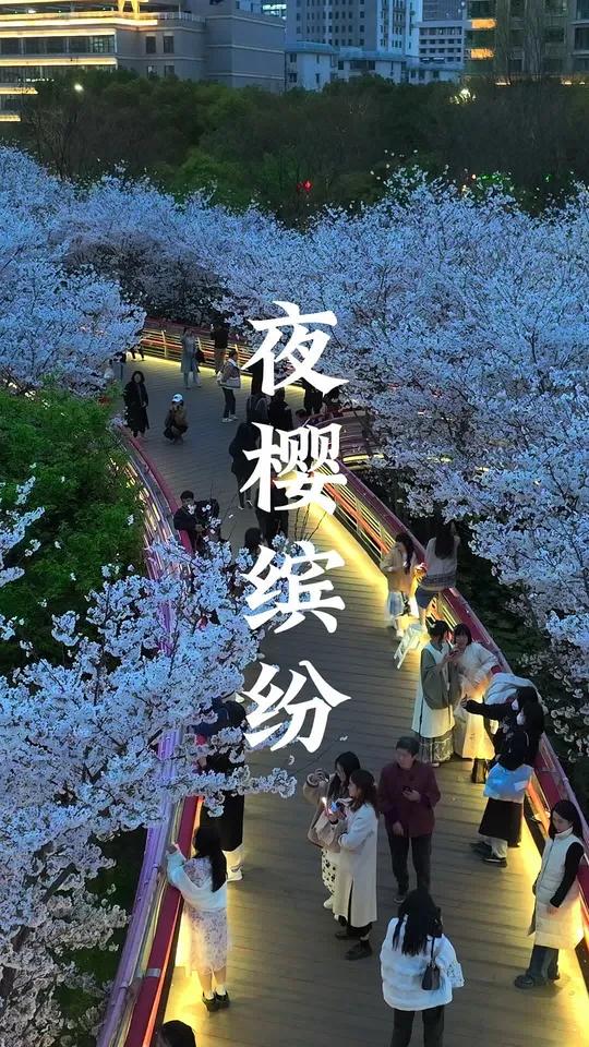 夜之城的男人们小说免费全文在线阅读无弹窗下载夜之城，城市的夜晚魅力