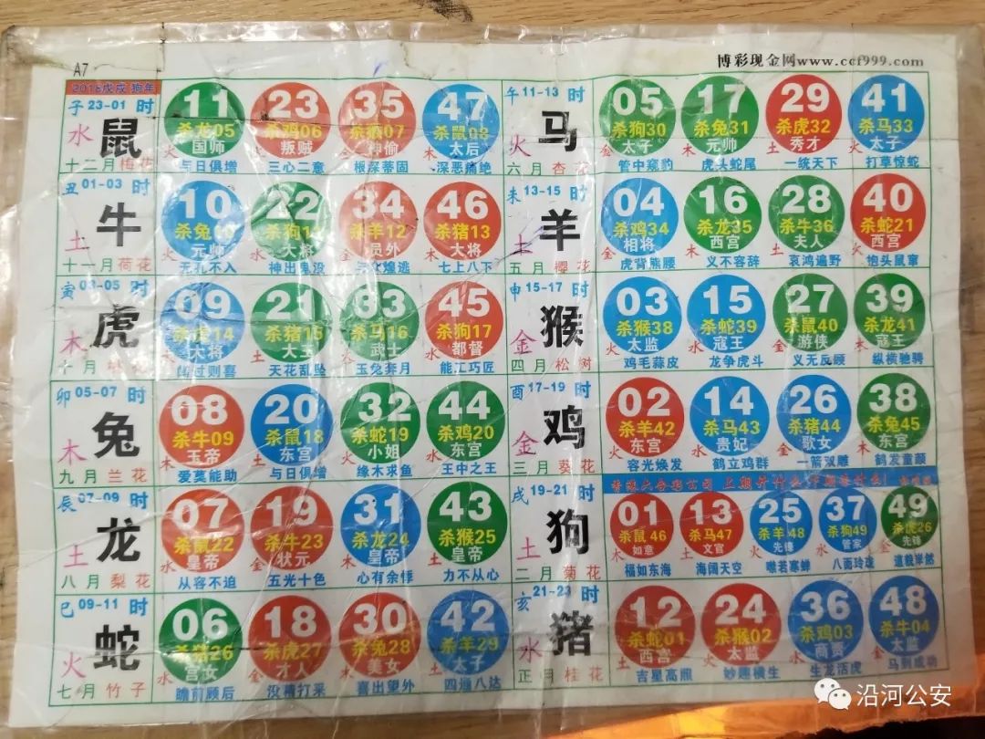 香港大型免费六台彩图库介绍-第2张图片