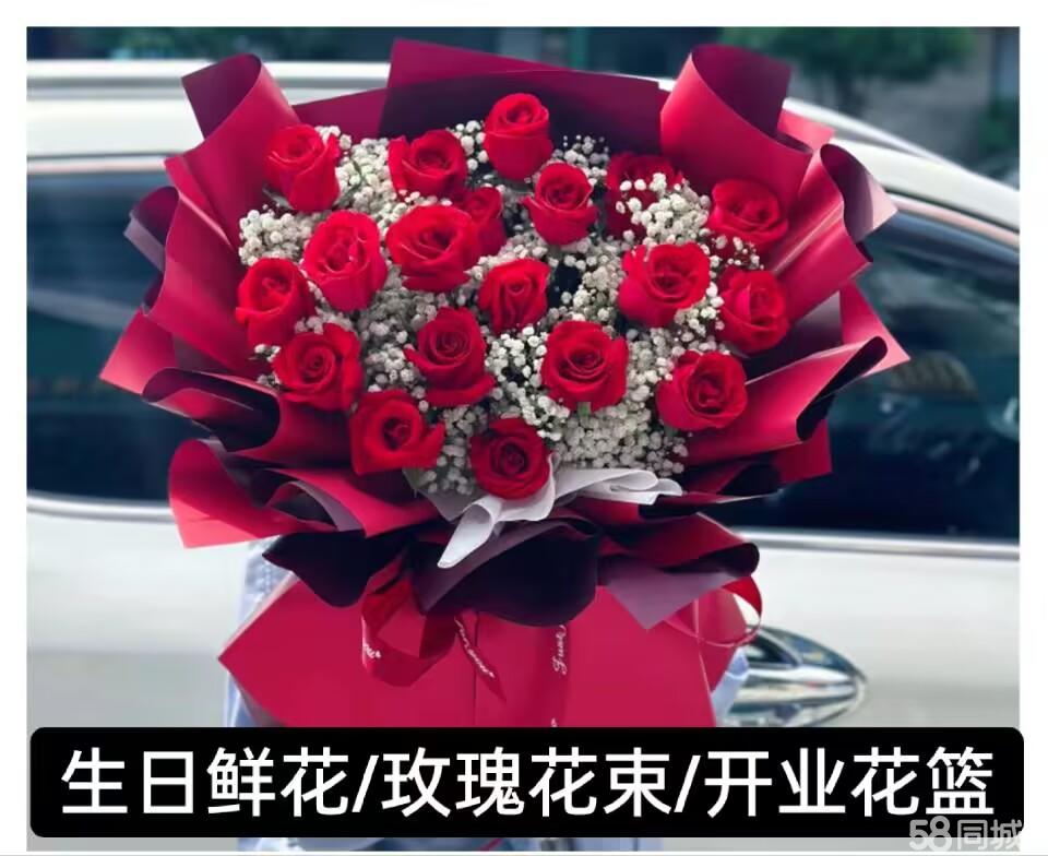法国满天星家庭保姆，专业与关怀的完美结合-第3张图片