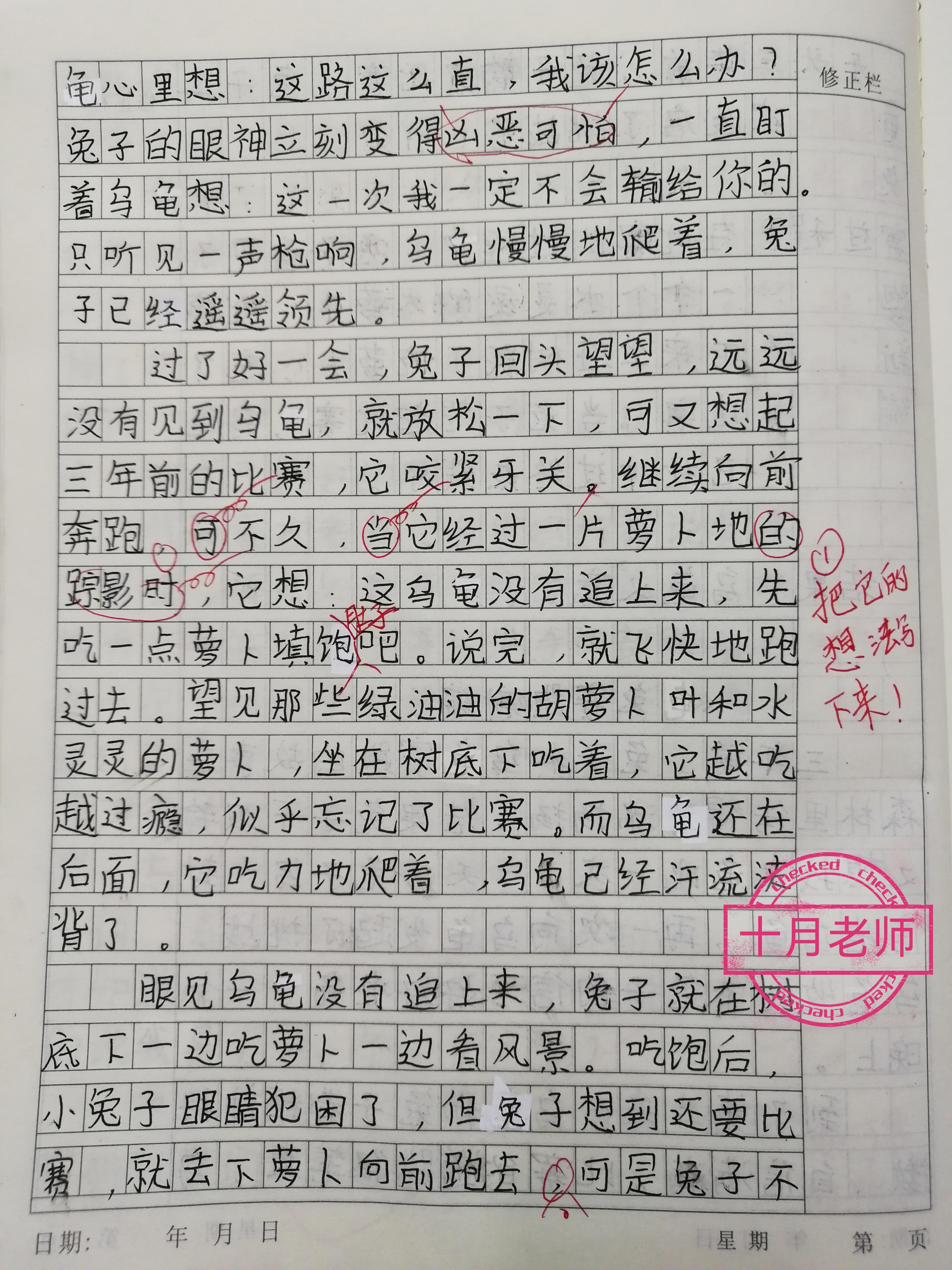 老师你的兔子好软水好多作文开头老师，你的兔子好软-第2张图片
