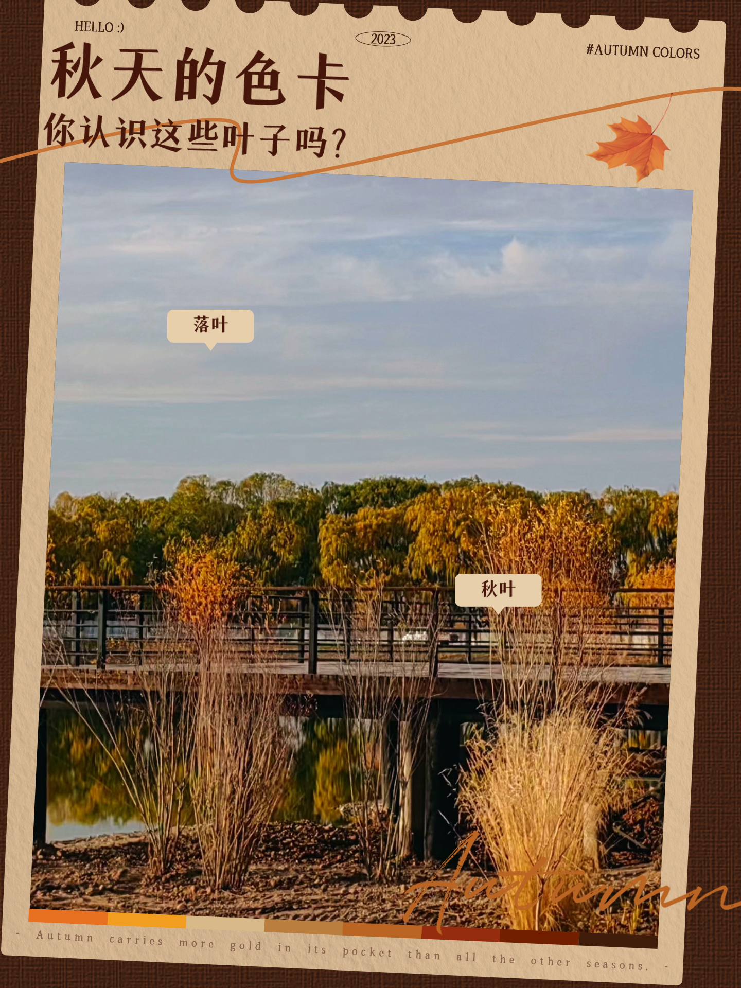 大理寺卿po林晚卿笔趣阁大理寺卿探秘林晚卿