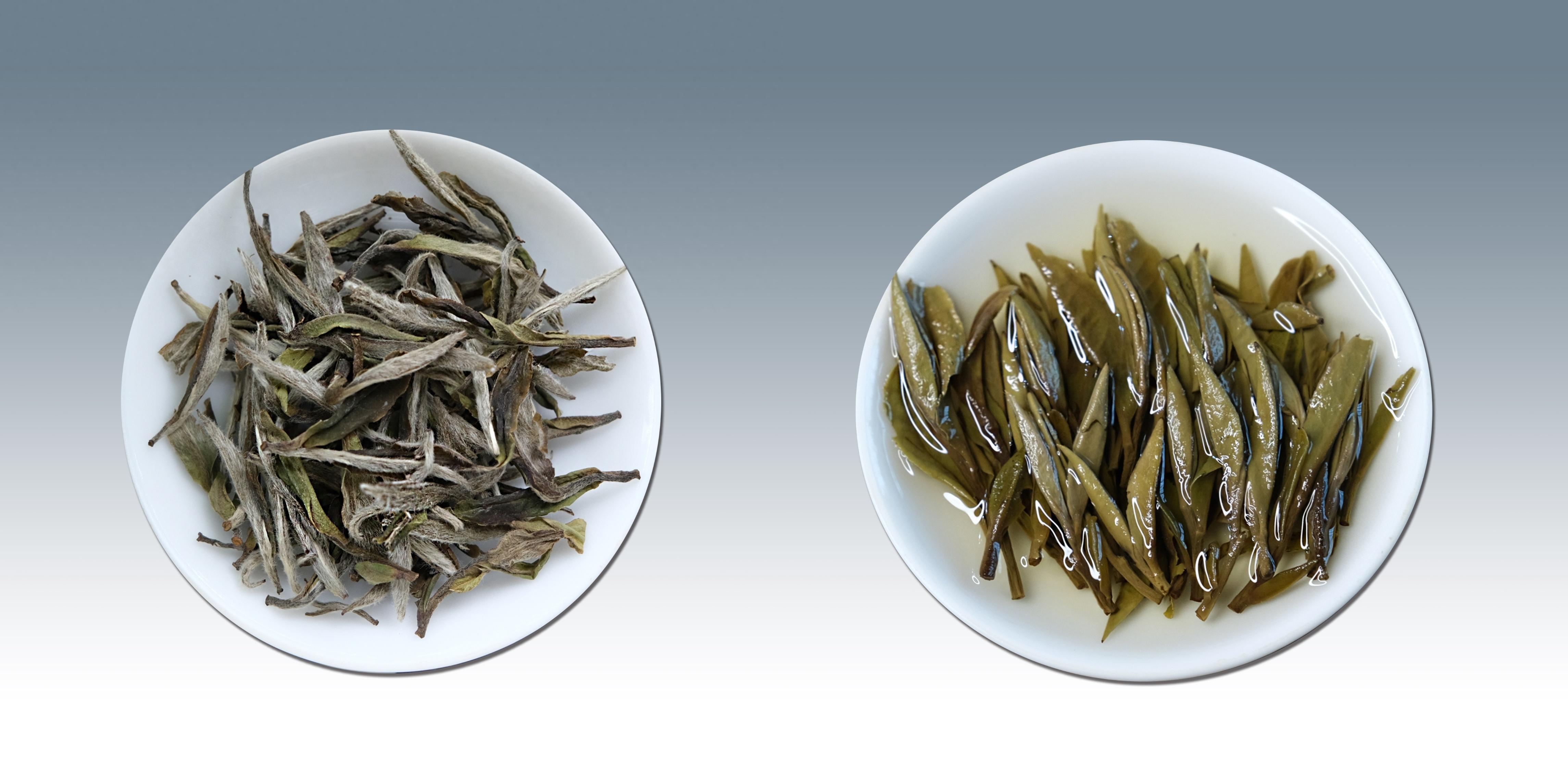 白茶最出名的是哪几种白茶最出名的几种