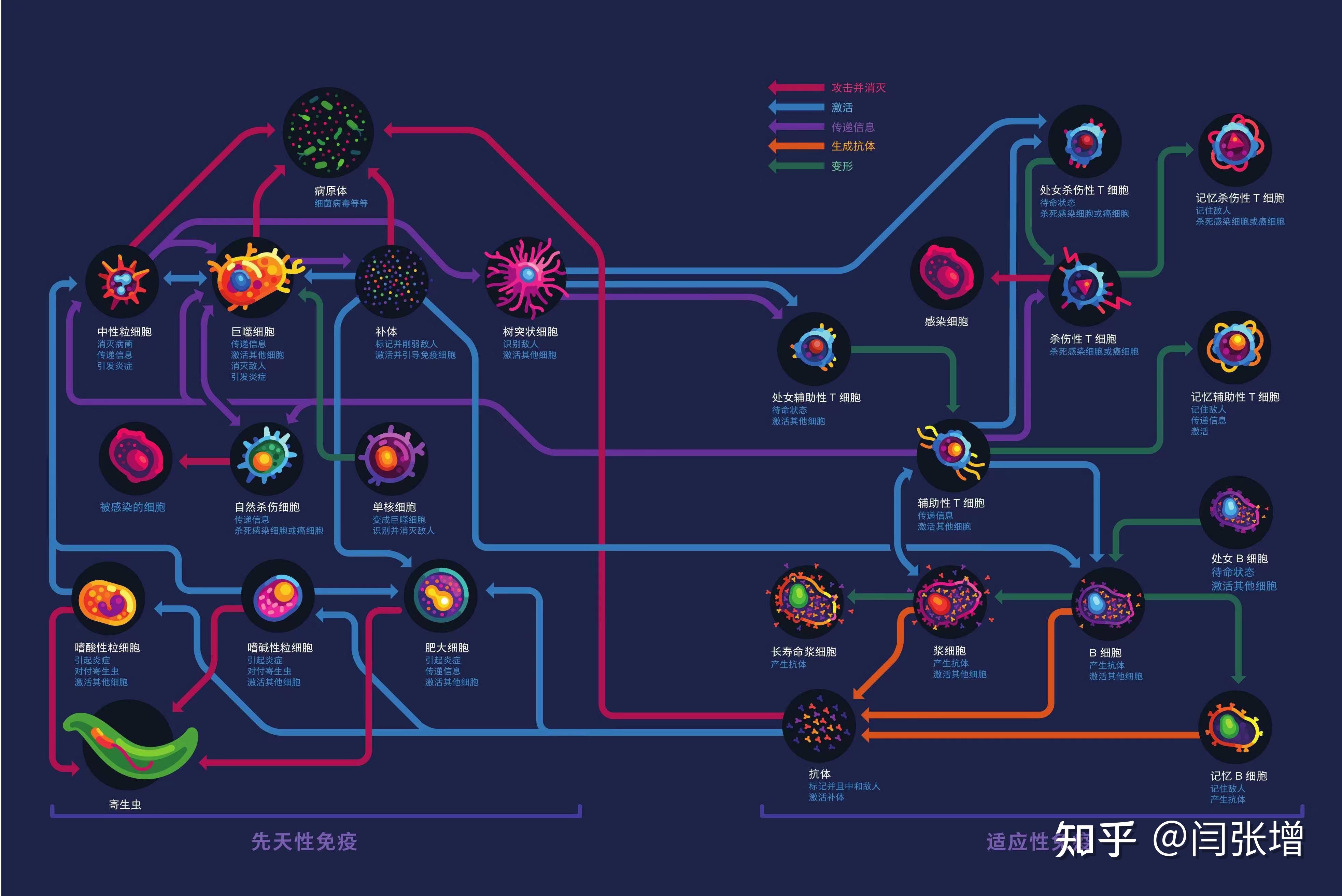 师兄1V4，热血传奇的战斗之旅-第1张图片