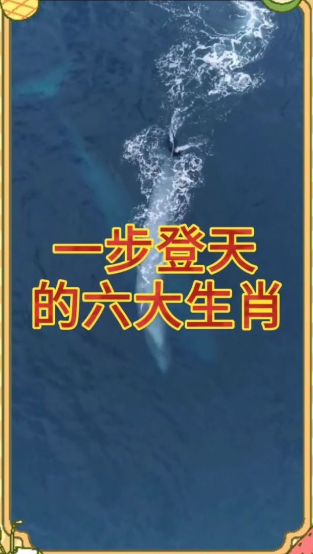 貂蝉满座打一生肖——龙-第3张图片