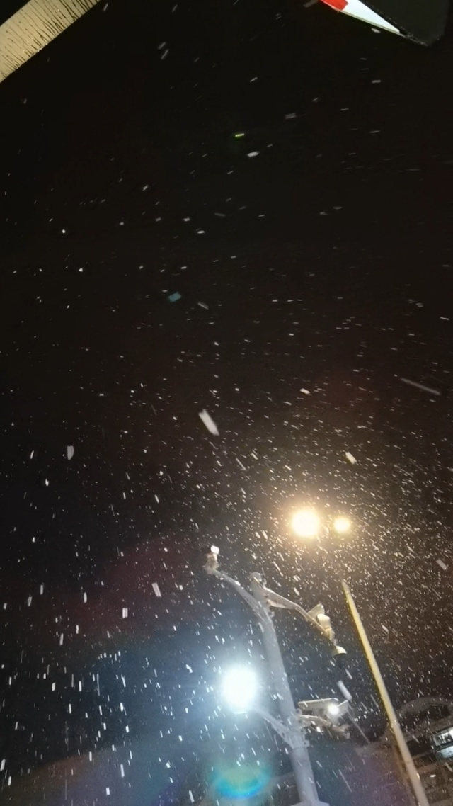 雪花飘影院手机版观看时间雪花飘影院手机版观看时间
