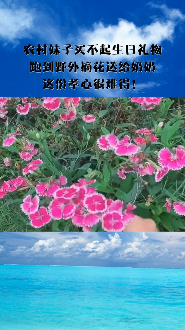 农村小女孩野外生存Java农村野外妇女，HD技术的普及与影响-第1张图片