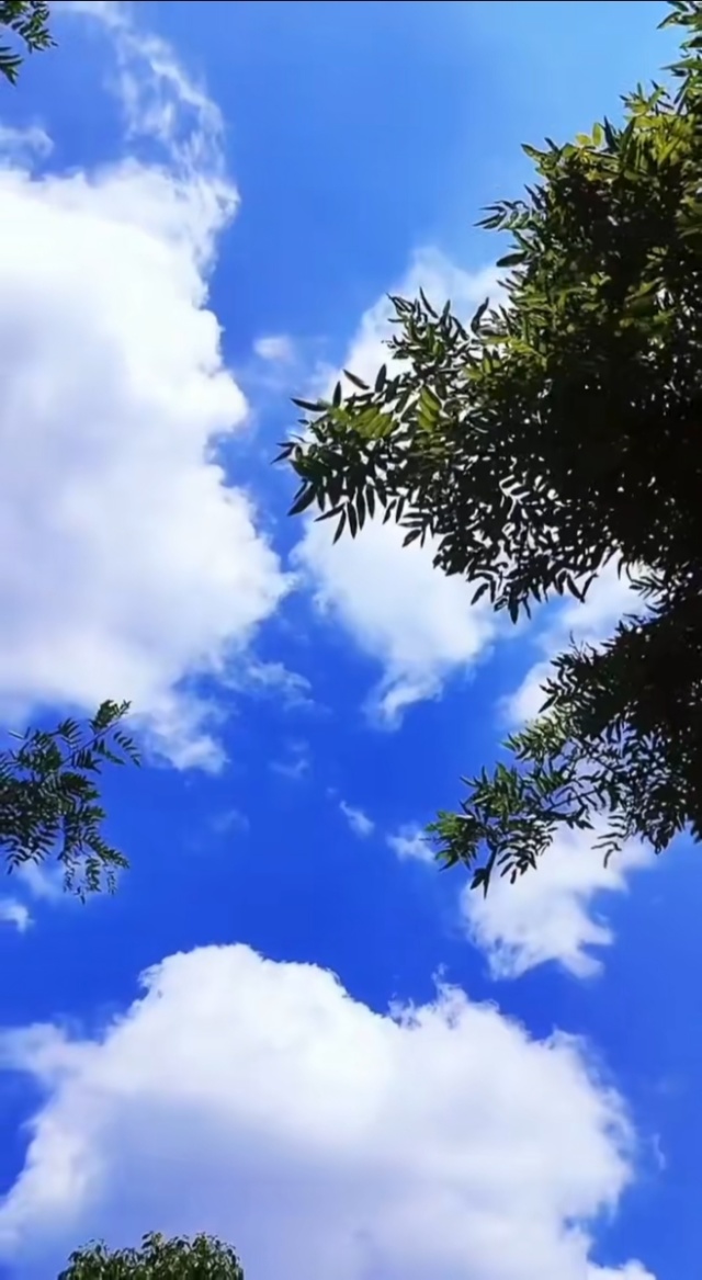 天空600字作文天空之境