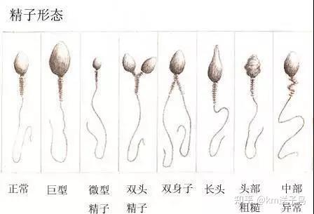 被十位男人灌了一夜精子-第2张图片