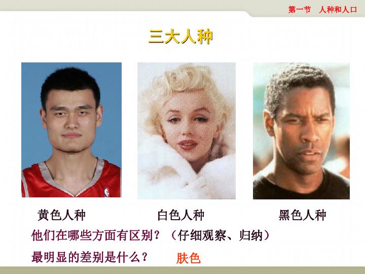 拉丁美洲人种配人怎么配种拉丁美洲人种配人的浪漫与智慧-第2张图片