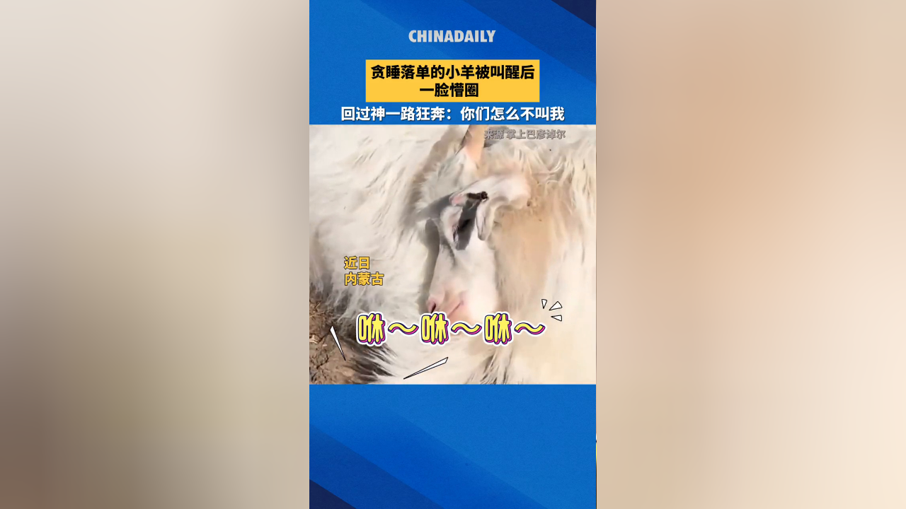 小羊影评小羊影评-第2张图片