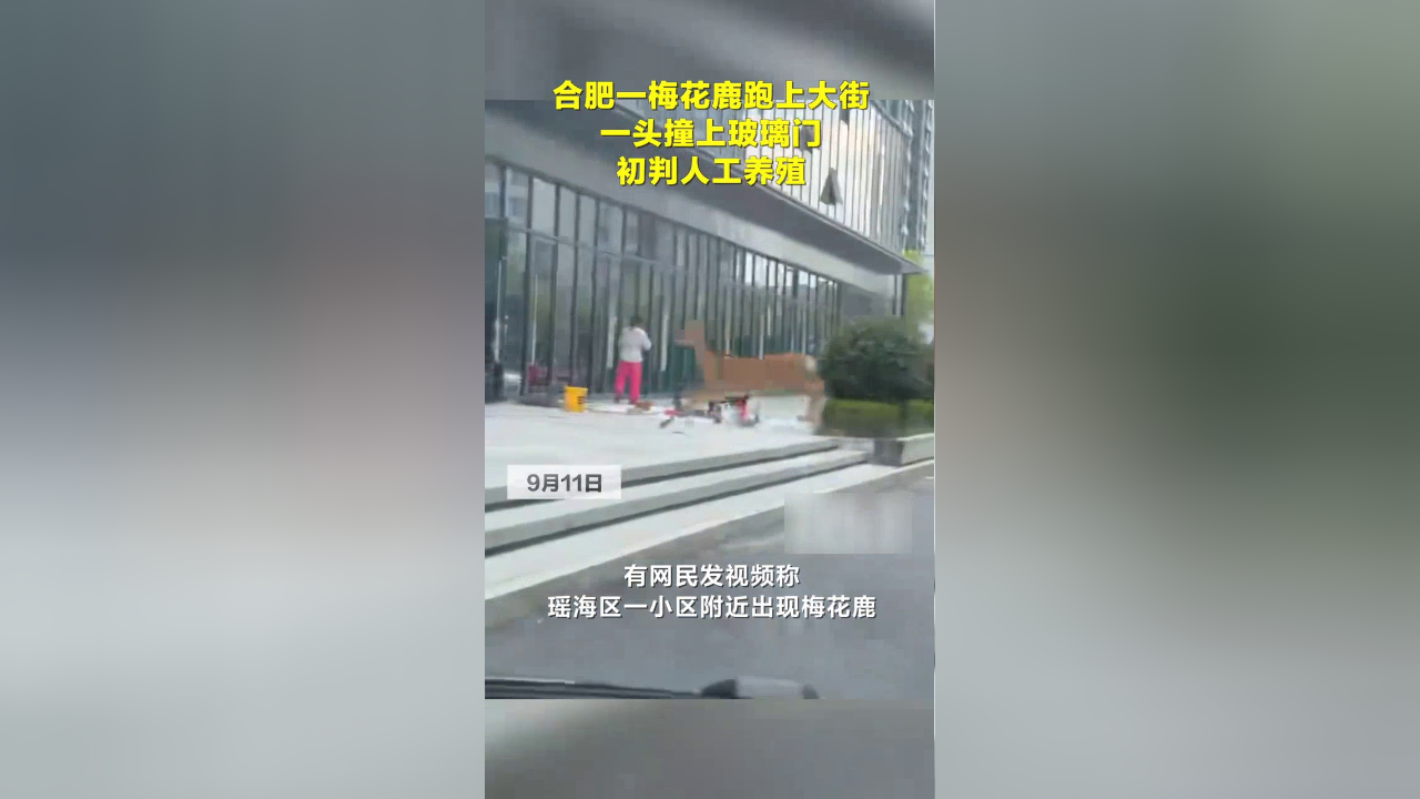 9分10秒头撞玻璃视频大全9分10秒头撞玻璃视频大全-第3张图片