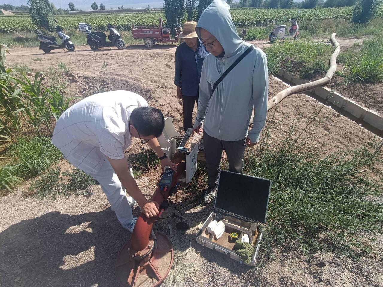 系统灌溉的日常系统灌溉的日常-第2张图片