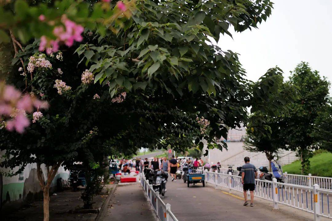 草莓app丝瓜榴莲草莓丝瓜榴莲秋葵污污无限看