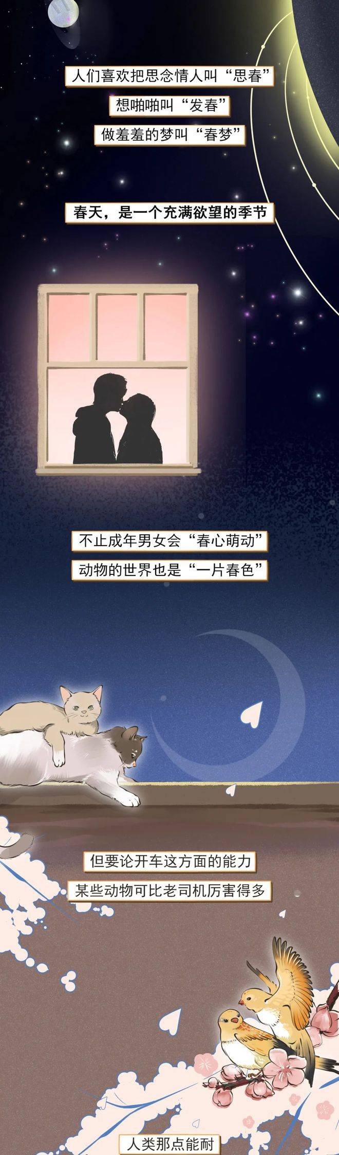 成年网站未满十八禁视频的探讨-第3张图片