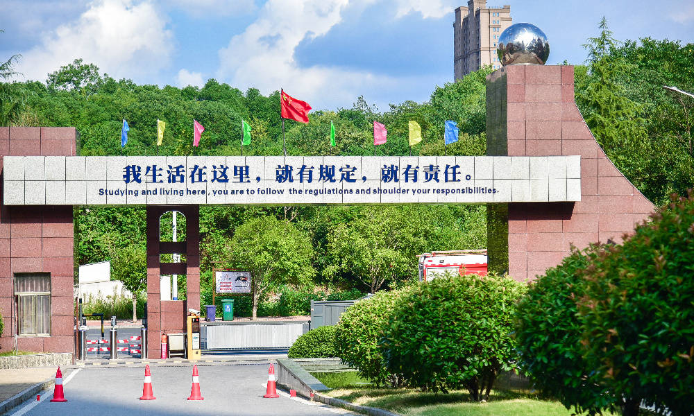 热土国产，崛起之路