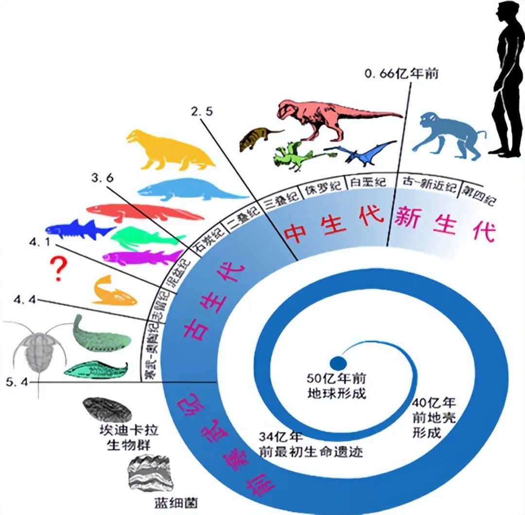 人类DNA能与动物结合吗人类DNA能否与动物结合-第2张图片