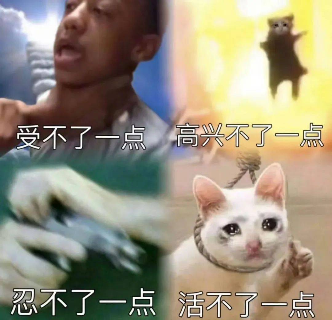 网络恶搞是什么网络恶搞，一种独特的文化现象