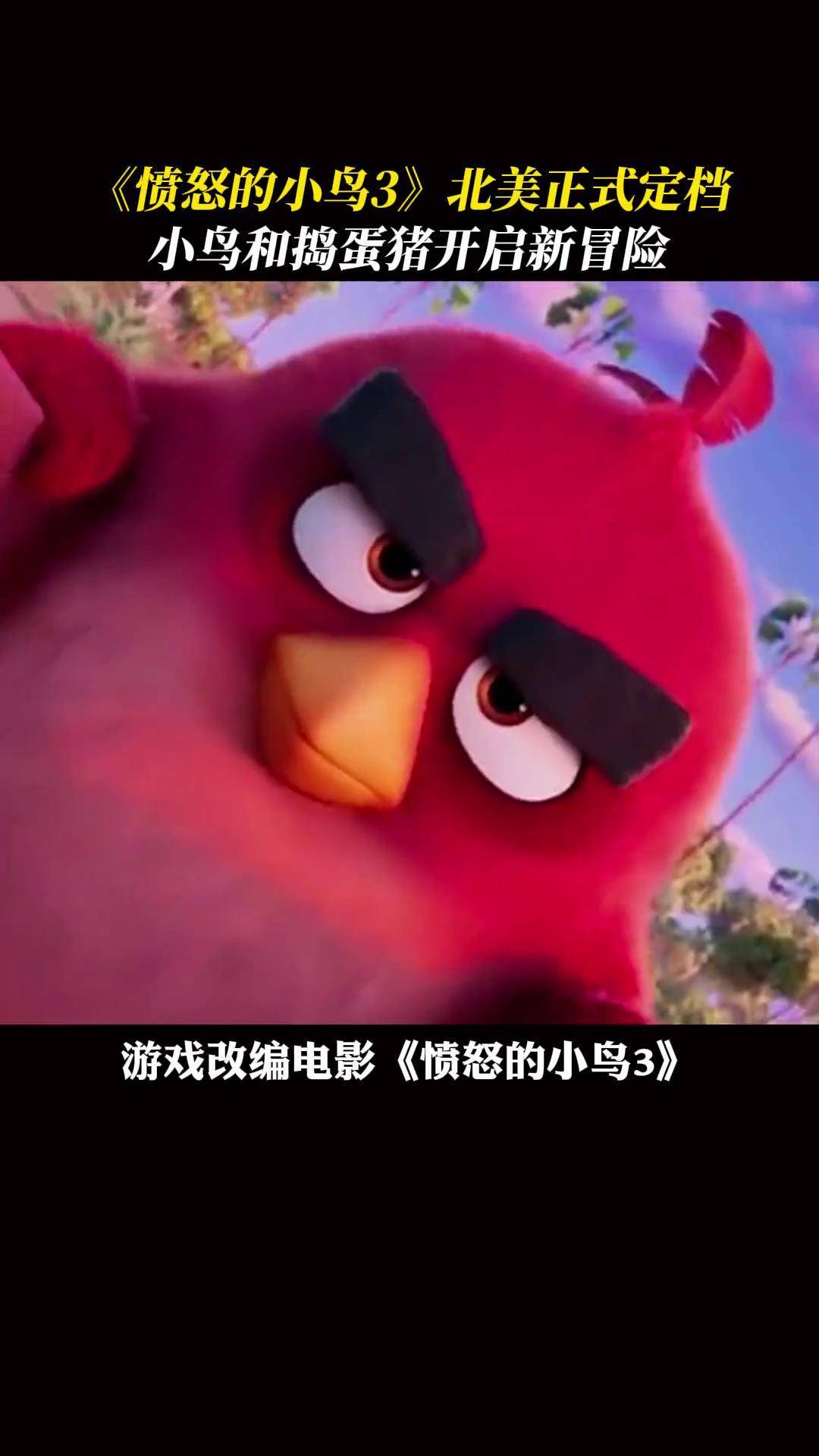 捣蛋猪的欢乐冒险