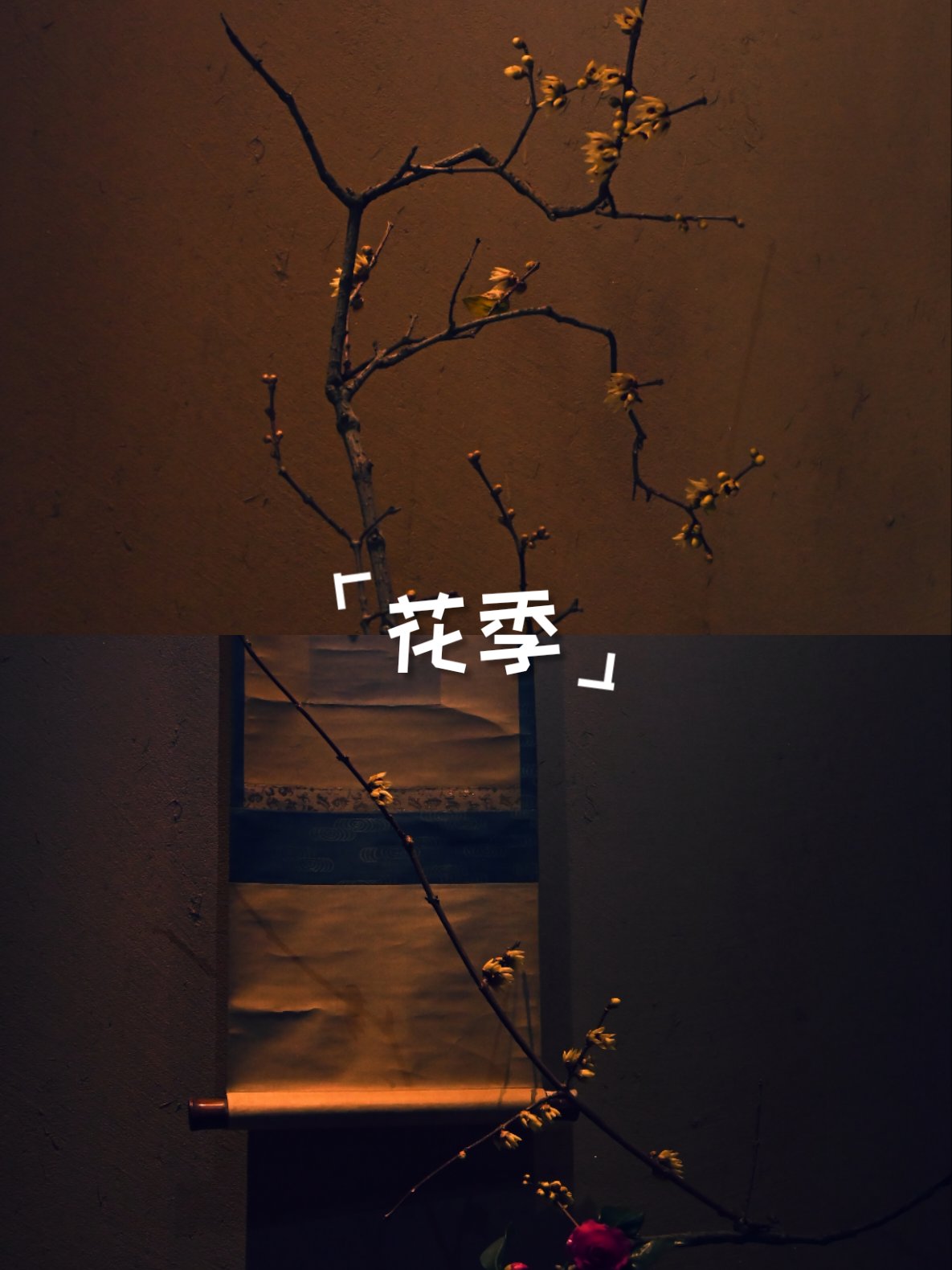花季v3.175在线下载花季V3.173在线下载-第1张图片