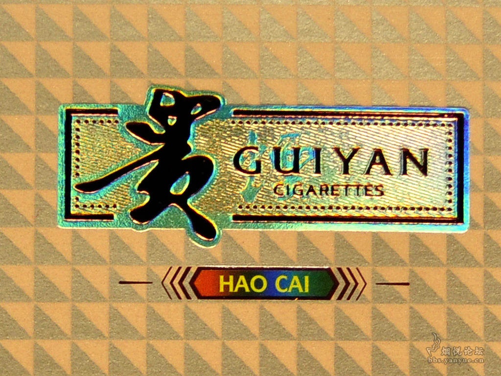 好彩论坛好彩论坛，探索网络交流的新天地