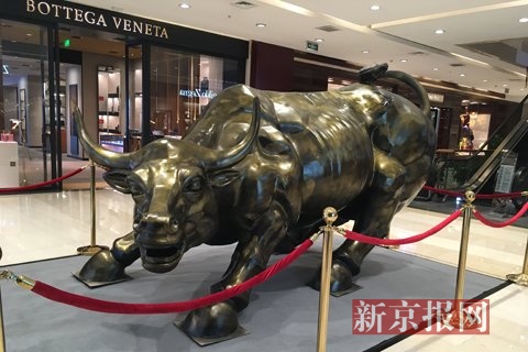 金牛网金牛版42260最新版金牛网金牛版，引领金融新风尚-第2张图片