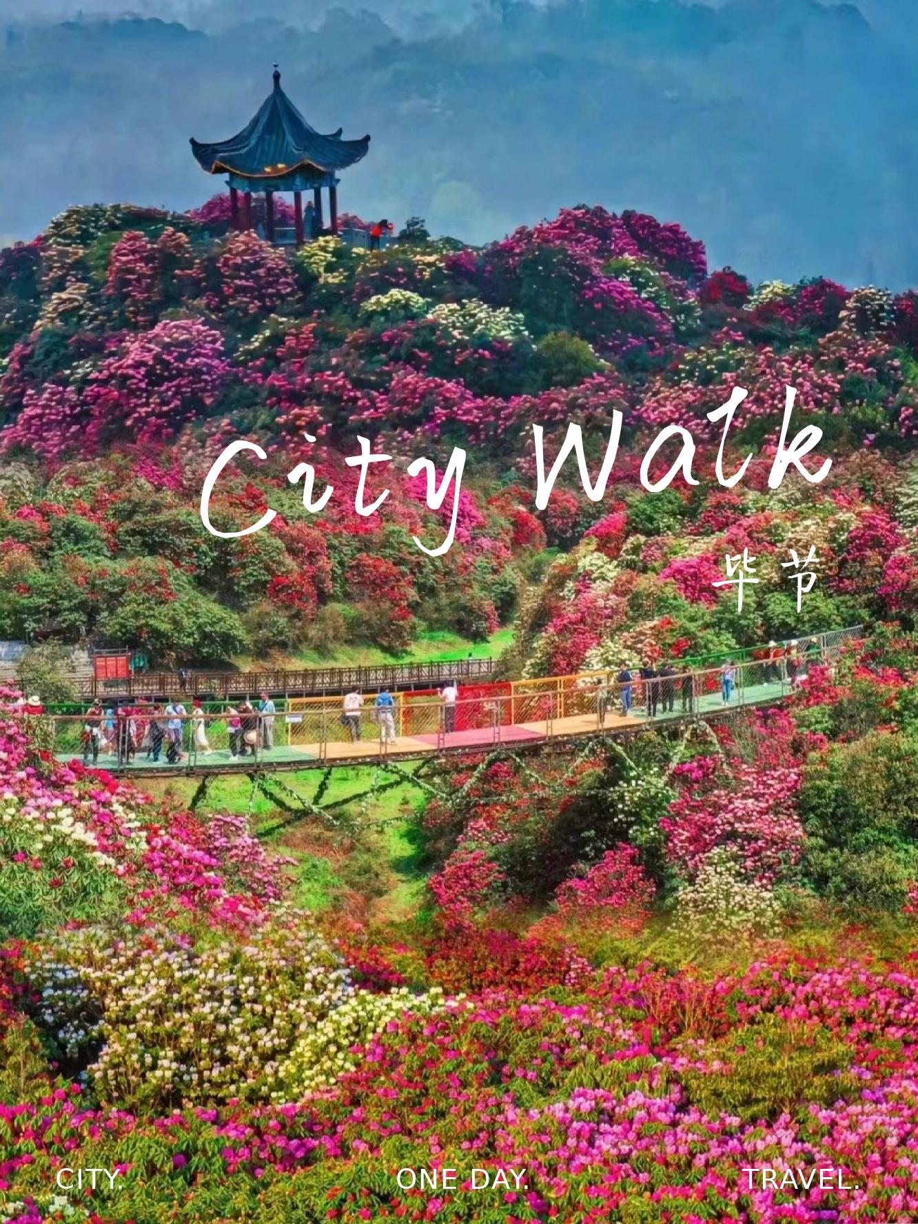 毕节旅游毕节旅游攻略