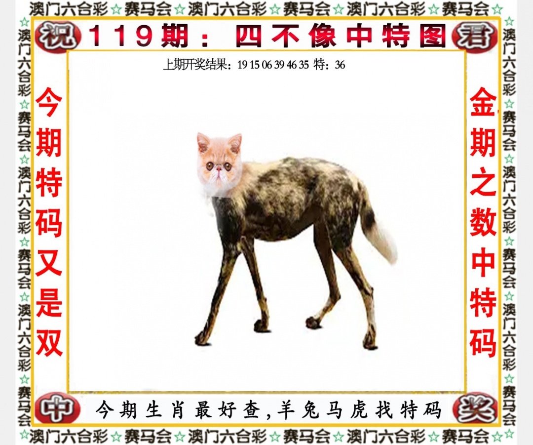 澳门天天彩正版免费全年资料文章-第1张图片