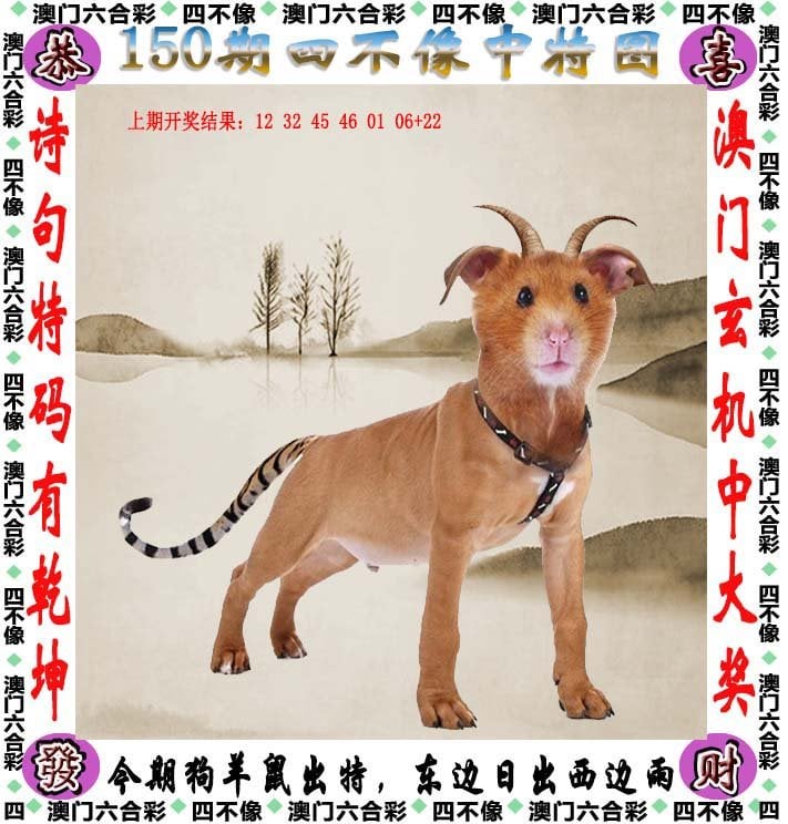 香港近50期历史记录大全汇总澳门开奖结果香港近50期历史记录大全汇总