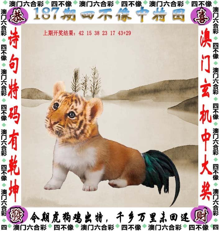 246天天好彩精选资料-第3张图片