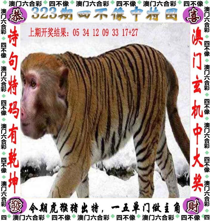 澳门最准一肖一码，预测澳门彩票的神秘力量-第1张图片