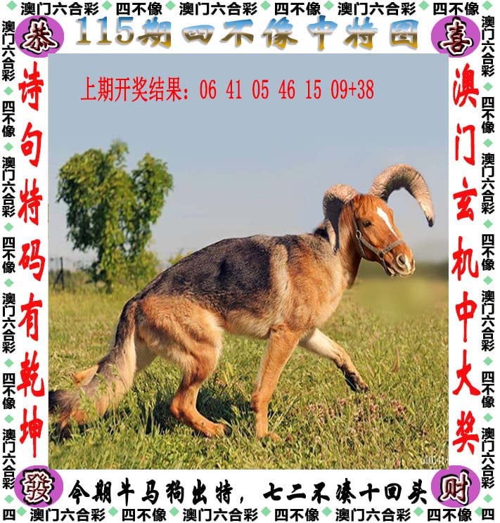 246zl天天好彩免费资料大全-第2张图片