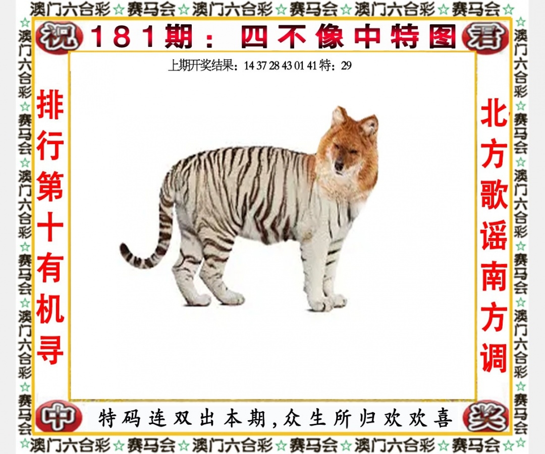 新澳2024管家婆资料概述