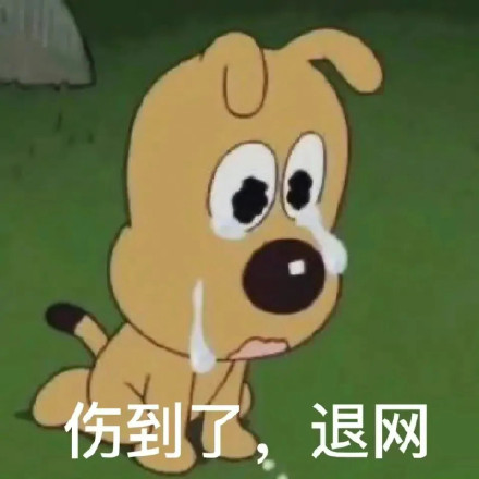 退退退大妈表情包，生活中的幽默与智慧-第2张图片
