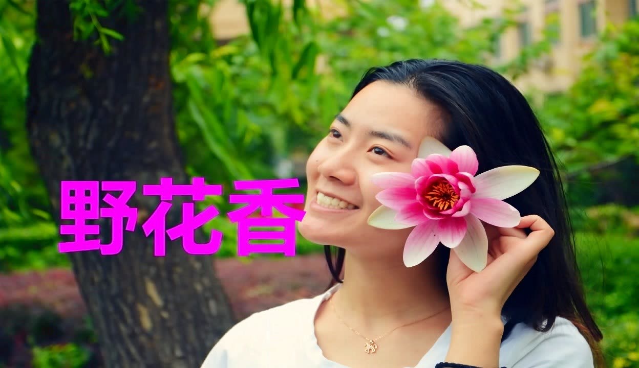 野花香高清视频在线观看免费-第3张图片